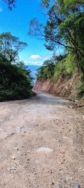 Estrada no corte