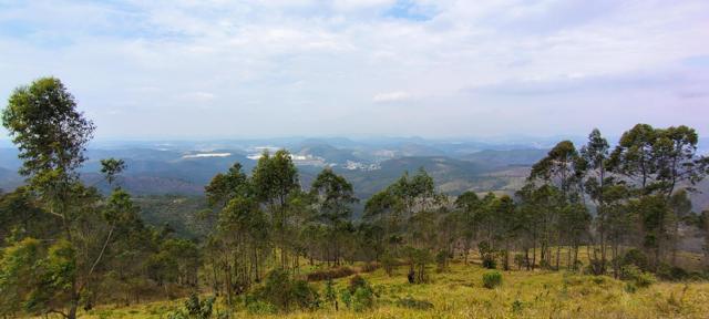 Vista do topo